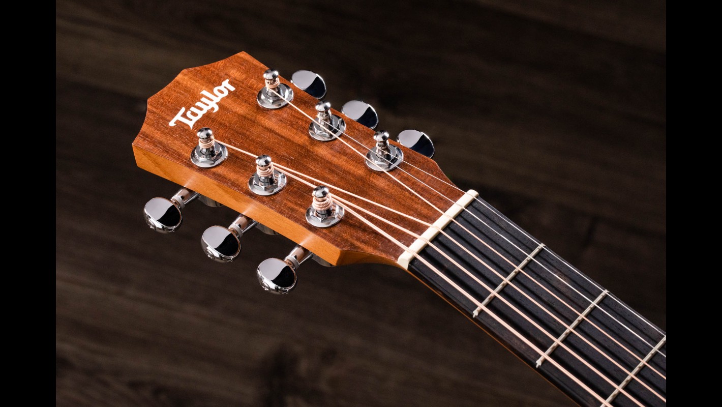 BT1e Acoustic-Electric Guitar | Taylor Guitars